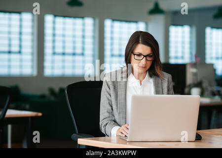 Focused businesswoman working on her laptop in an office Stock Photo