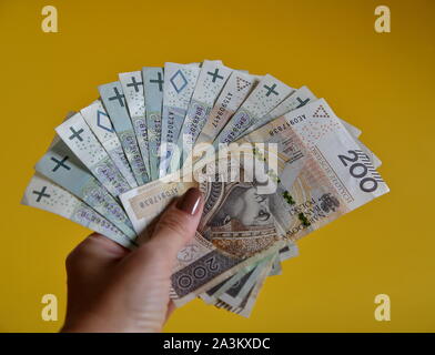 Range of many 200, 100 and 50 Polish zloty banknotes hold by female hand with painted nails close up isolated on yellow background. Stock Photo