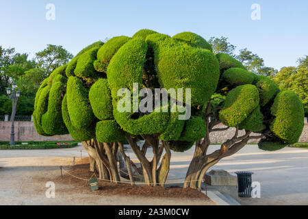 A area called El Parterre in public Retiro Park of Madrid, Spain. Beautiful trees and flowers. Stock Photo