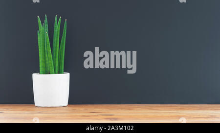 potted plant on wooden table against dark wall background Stock Photo