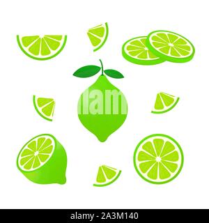 Lime with green leaves, slice citrus isolated on white background. Vector stock illustration. Stock Vector