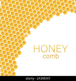 Honeycomb monochrome honey pattern. Vector stock illustration. Stock Vector