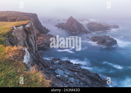 Cliffs of Cape St. Mary's Ecological Bird Sanctuary in Newfoundland Stock Photo