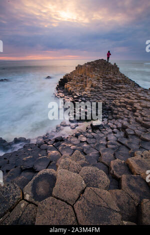 Woman Alon Standing on Baslt Hill at Giant's Causeway Stock Photo