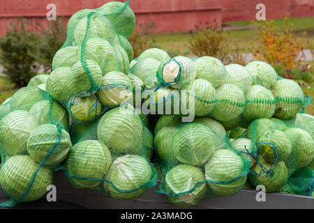 White cabbage in bags at the market. Tasty fresh raw cabbage in a mesh bear. Stock Photo