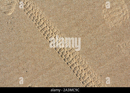 Bicycle tracks on a sand in summer, abstract background Stock Photo