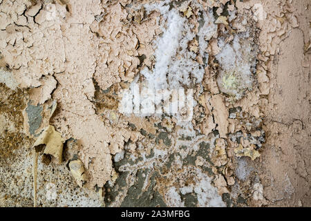 Saltpeter on the wall after a flood Stock Photo