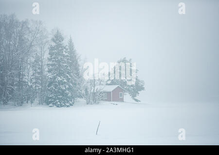 Finland, Espoo in winter. Baltic sea coast covered with snow in foggy day. Island with forest, pine trees and snow white land. Scenic  peaceful Scandi Stock Photo
