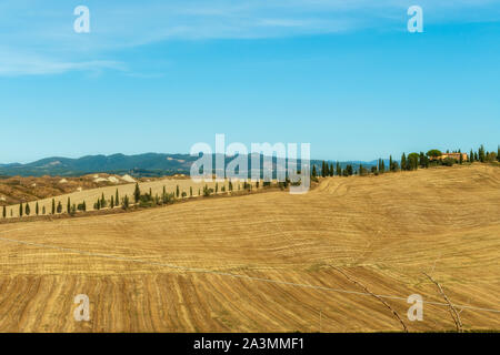 Typical landscapes for Siena Province in Tuscany, Italy. Cypress hills, plowed fields, roads and houses. Begining of autumn season.