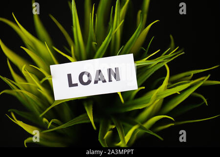 Credit concept. Loan written on white card. Stock Photo