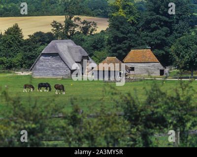Court Barn from Lee-on-Solent, location for the filming of the  BBC series The Repair Shop, Weald and Downland Living Museum. South Downs. West Sussex. England. Stock Photo