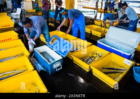 Kinmedai (golden eye snapper) on Fish Auction in Yaidu, Japan Stock Photo -  Alamy