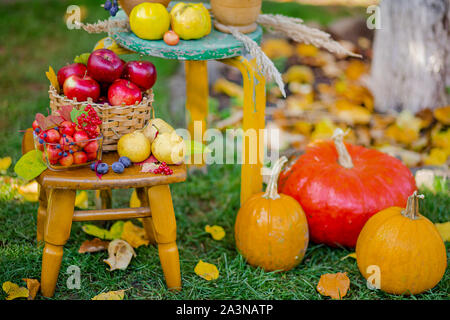 Autumn composition with apples, pumpkin and grapes located in the garden. Autumn harvest. Sunny warm day, autumn foliage and flowers. Stock Photo