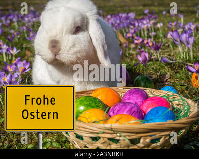 Germany "Frohe Ostern" Easter Bunny Stock Photo