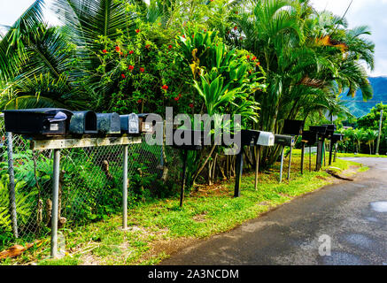 Tropical letterboxes, Oahu, Hawaii Stock Photo