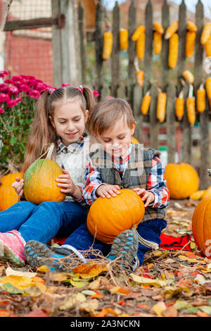 Little girl and boy picking pumpkins for Halloween pumpkin patch. Children pick ripe vegetables at the farm during the holiday season. Autumn harvest Stock Photo