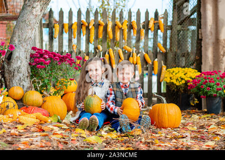 Little girl and boy picking pumpkins for Halloween pumpkin patch. Children pick ripe vegetables at the farm during the holiday season. Autumn harvest Stock Photo