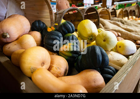 Various autumnal gourds and squash in basket displays at farmer's market Stock Photo