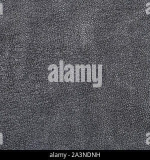 textured square background from black leather close up Stock Photo