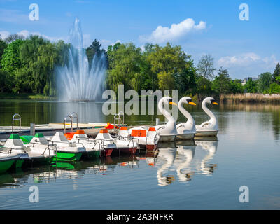 swan pond in Zwickau East Germany Stock Photo