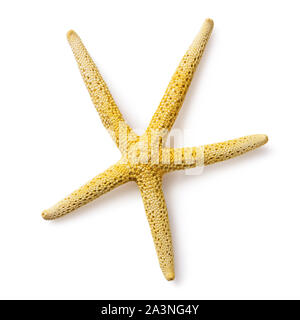 Yellow starfish isolated on white background, top view. Photo taken by stacking method Stock Photo