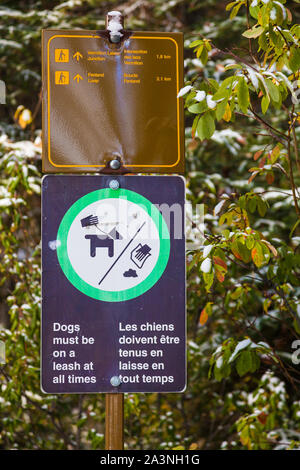 Directional trail sign and a pet owners reminder on a trailhead post in Banff National Park Alberta Canada Stock Photo