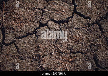 Dried cracked soil in Seville, Andalusia, Spain. Lack of water. Stock Photo