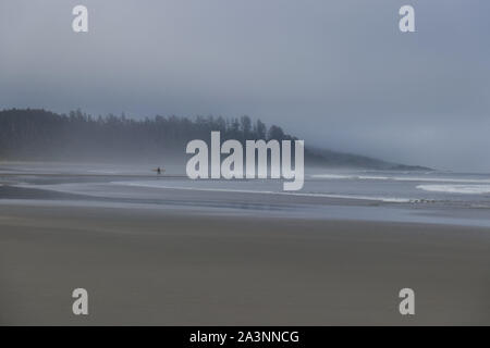 Surfer is walking with a White board along the Long Beach near Tofino, Vancouver Island, Canada at foggy morning Stock Photo