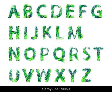 Set of Leaf alphabet with different types of green leaves and foliage flat vector illustration isolated on white background. Stock Vector