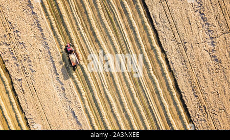 aerial drone view of tractor and trailer baling bales in a northumberland wheat field Stock Photo