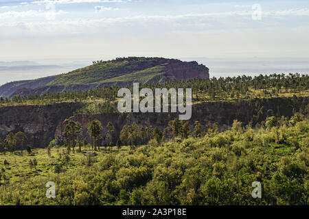 Top view of Saddle Mountain Wilderness at Kaibab National Forest near Marble Canyon and Grand Canyon North Rim, Arizona. Stock Photo