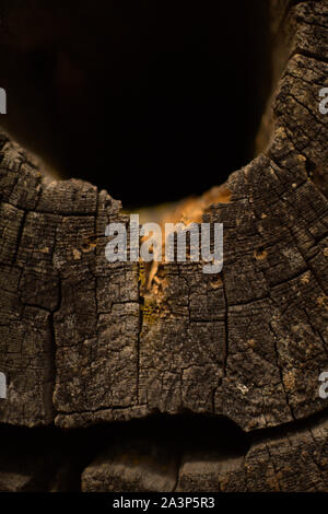 Closeup of a brown rusty colored piece of dead wood with a big crack and holes in it, on a dark black background Stock Photo