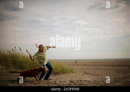 Mature adult man throwing a stick for his dog on a beach. Stock Photo