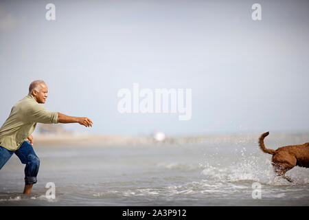 Mature adult man throwing a stick for his dog on a beach. Stock Photo