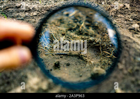 hand holding a magnifying glass searching for a footstep track on the ground, crime invetigations Stock Photo