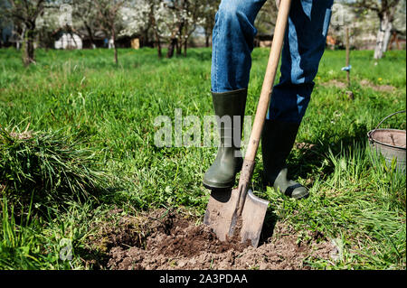 Man digs a hole in the ground for planting trees Stock Photo