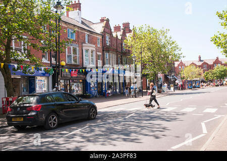 Car waiting whilst a lady with a small dog walks across the road on a Zebra Crossing on a sunny day in Lytham Lancashire England UK Stock Photo