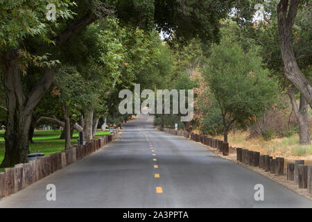 Paved road bordered by wood poles surrounded by tall forrest trees through park land, green grass on left side with trash cans 10 mph speed limit sign Stock Photo
