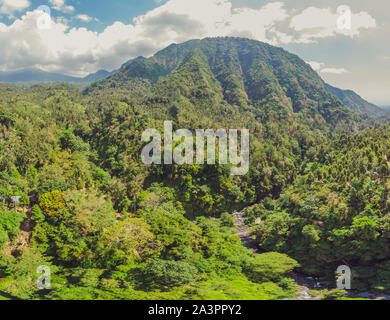 Tropical jungle of bali. Forest and mountain Stock Photo