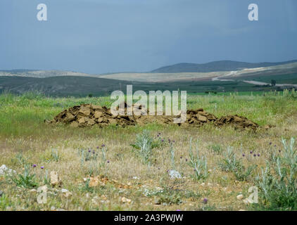 Piles of manure in the field. Cow and horse manure with land. Stock Photo