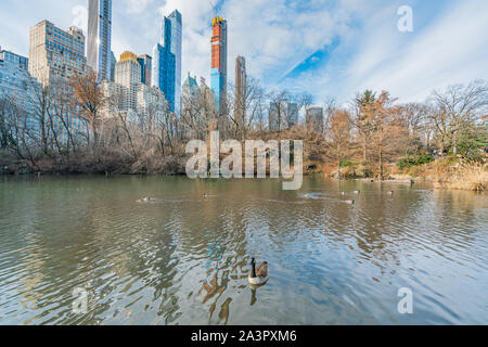 New York City, NY, USA - 25th, December, 2018 - Beautiful cold sunny day in Central Park lake with ducks near Gapstow Bridge, Manhattan.