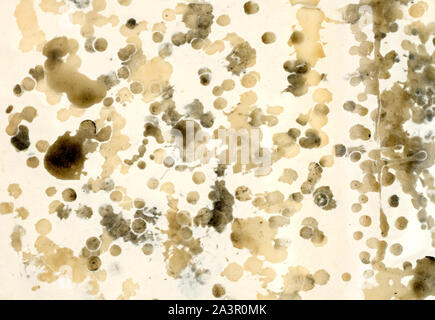 Very old damaged paper texture captured in the studio Stock Photo