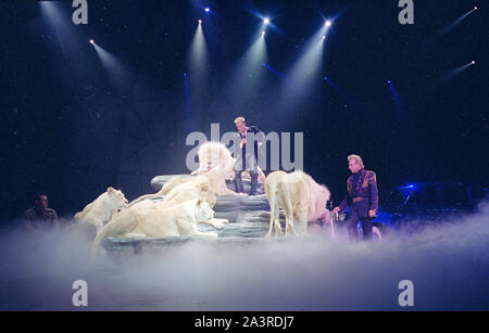 Superstar Illusionists Siegfried (right) and Roy (and a large feline friend) perform at the Mirage Hotel prior to Roy's nearly fatal encounter with a white tiger on stage during one of their performances in Las Vegas, Nevada Stock Photo