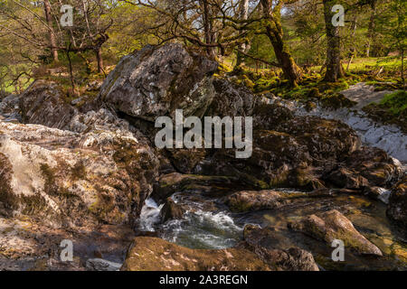 The Afon Lledr river near Betws-y-Coed, Snowdonia, North Wales Stock Photo