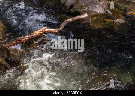 The Afon Lledr river near Betws-y-Coed, Snowdonia, North Wales Stock Photo
