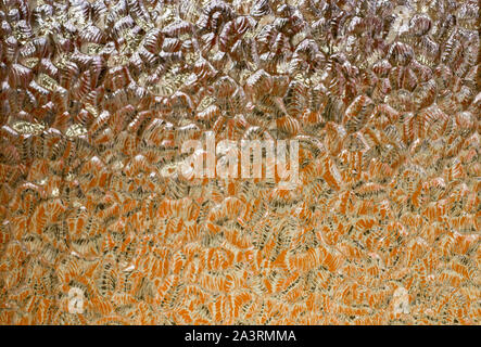 Textures of glass and yellow  light. Stock Photo
