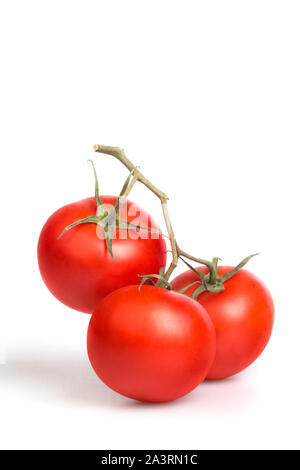 Tomatoes on vine on the white background. Stock Photo