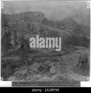 Teaming down the Summit on the Donner Lake and Dutch Flat Wagon Road, Placer County Stock Photo