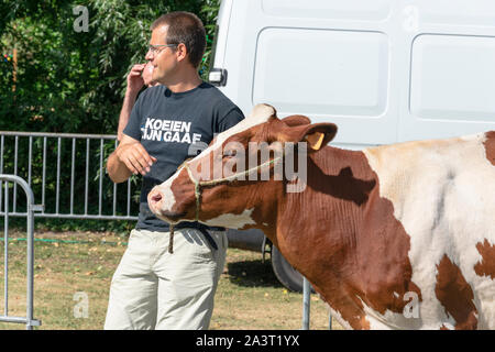 Kieldrecht, Belgium, 1 September 2019, a man walks with his brown and white cow to the jury members Stock Photo