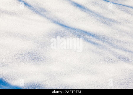 snow background with branch shadows on the frost Stock Photo